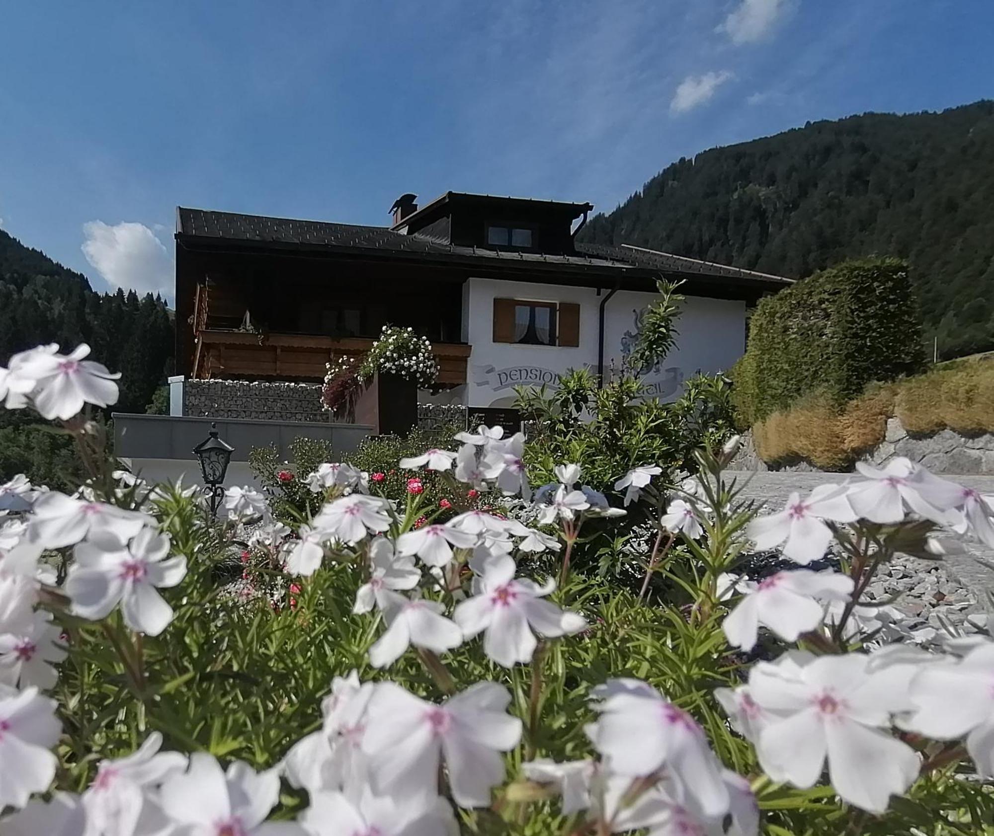 Fruehstueckspension Gweil Sankt Gallenkirch Kültér fotó