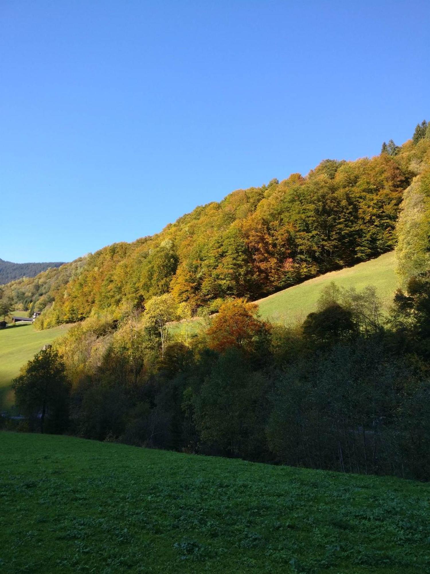 Fruehstueckspension Gweil Sankt Gallenkirch Kültér fotó